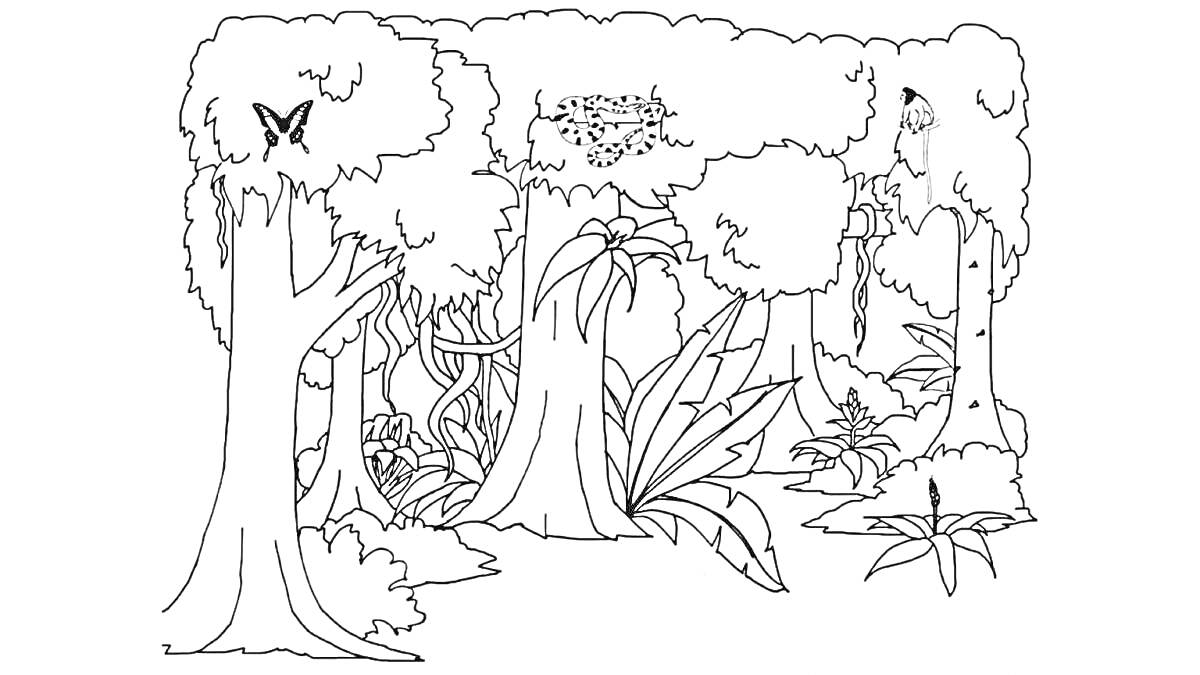 На раскраске изображено: Лес, Деревья, Бабочка, Гнездо, Птица, Кусты, Лоза, Трава, Лесные растения