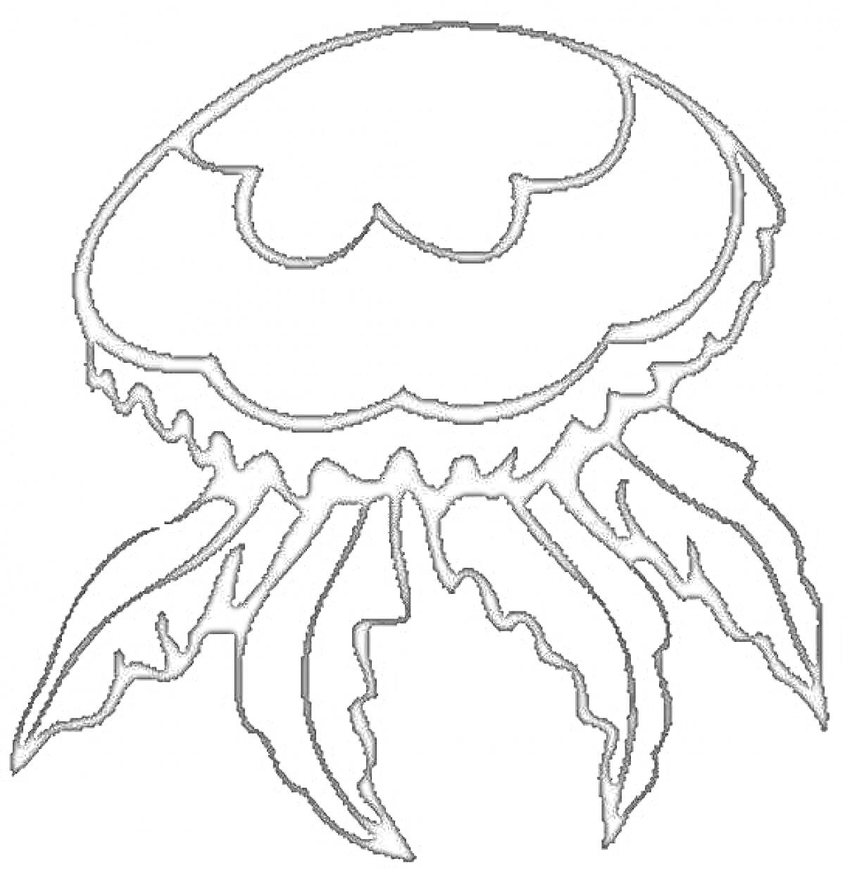 Раскраска Медуза с шестью щупальцами