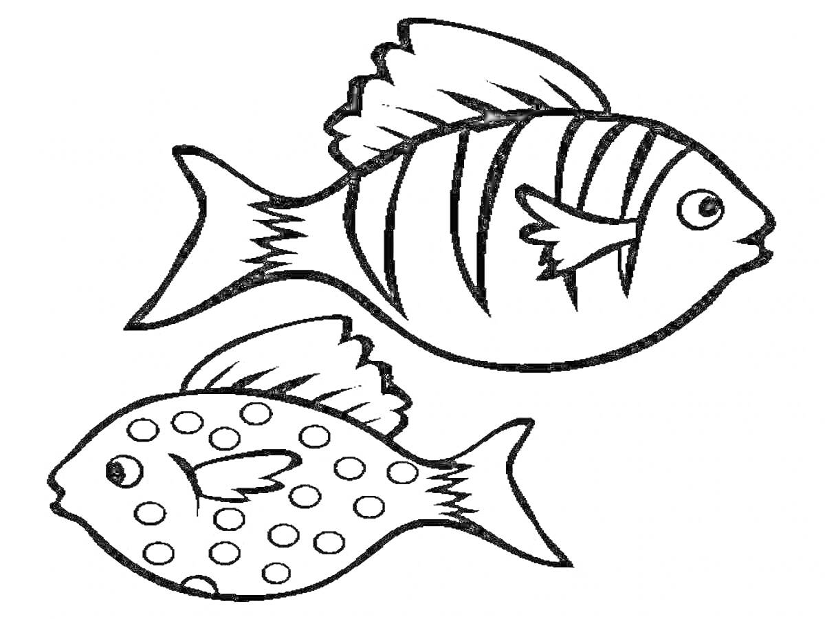 Раскраска Две рыбы с полосами и пятнами