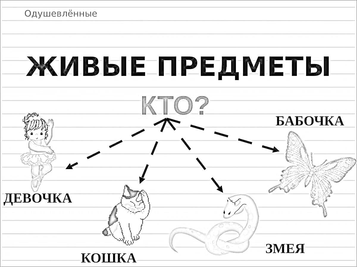 девочка, кошка, змея, бабочка