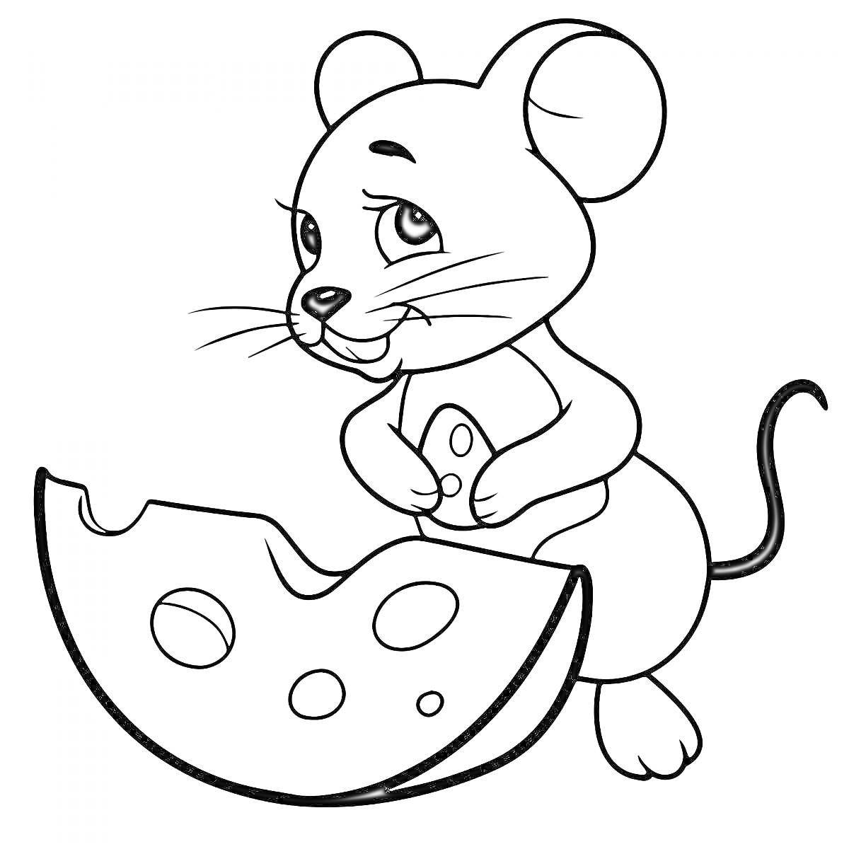 Раскраска Мышь с куском сыра