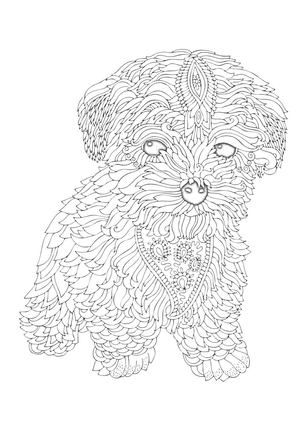 На раскраске изображено: Собака, Антистресс, Узоры, Орнамент, Шерсть, Арт-терапия
