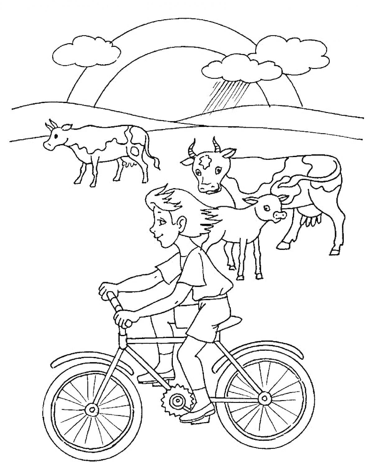Раскраска Мальчик на велосипеде перед коровами и телёнком на фоне радуги