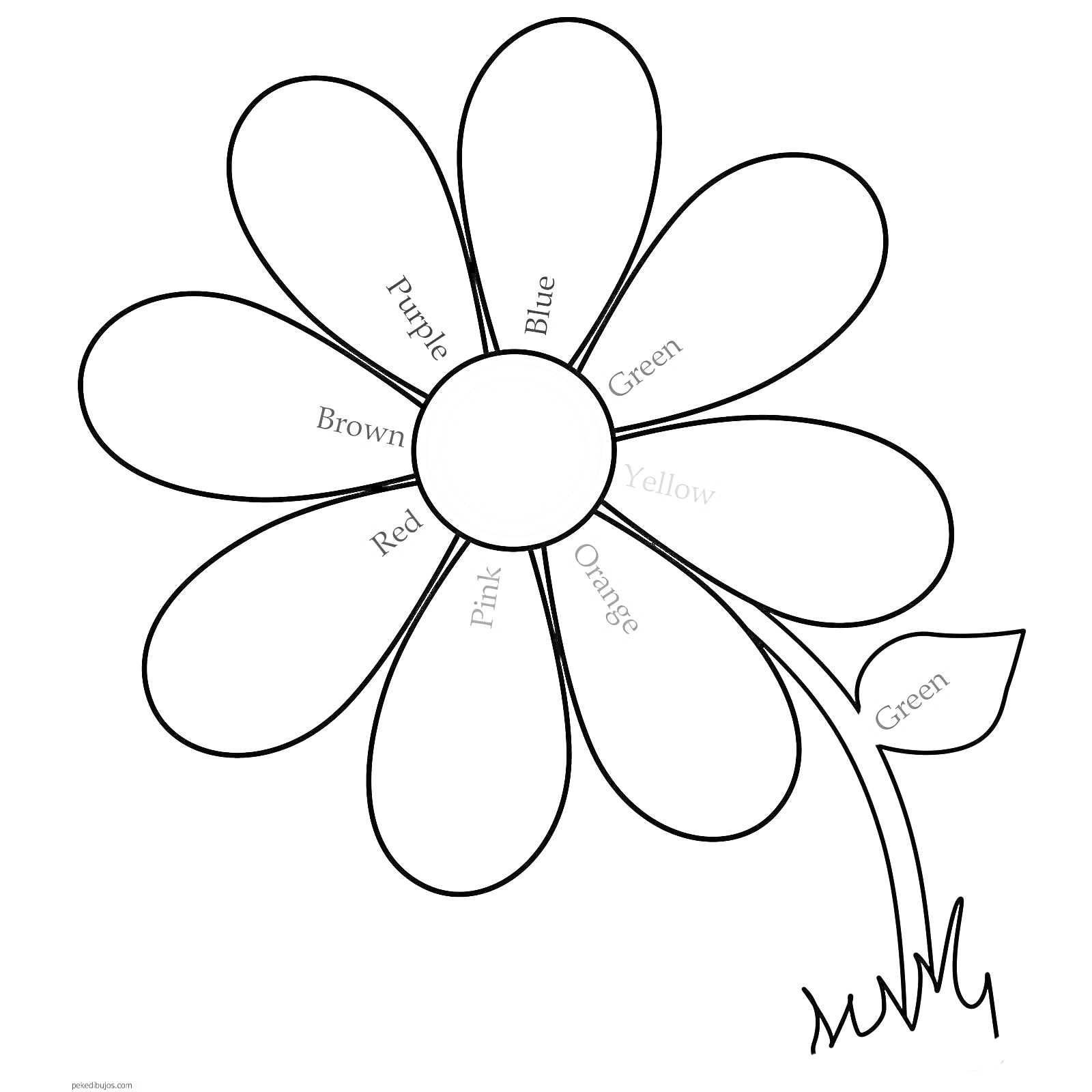 Раскраска Цветик-семицветик с подписанными лепестками