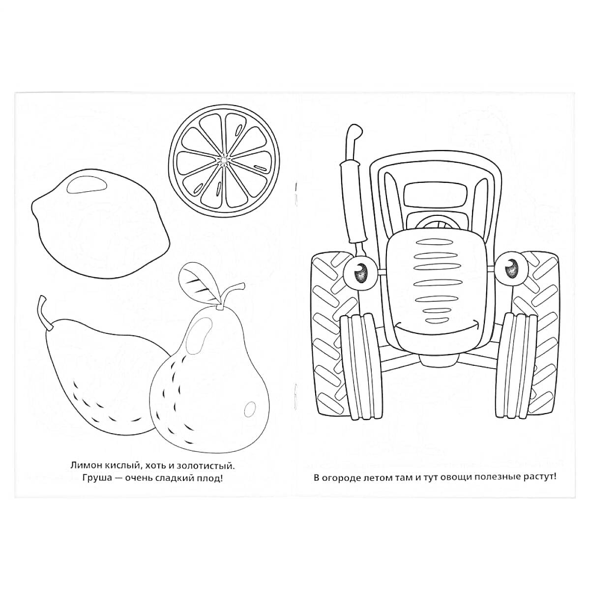 Раскраска Лимон, груша и апельсиновый кружок слева и синий трактор справа