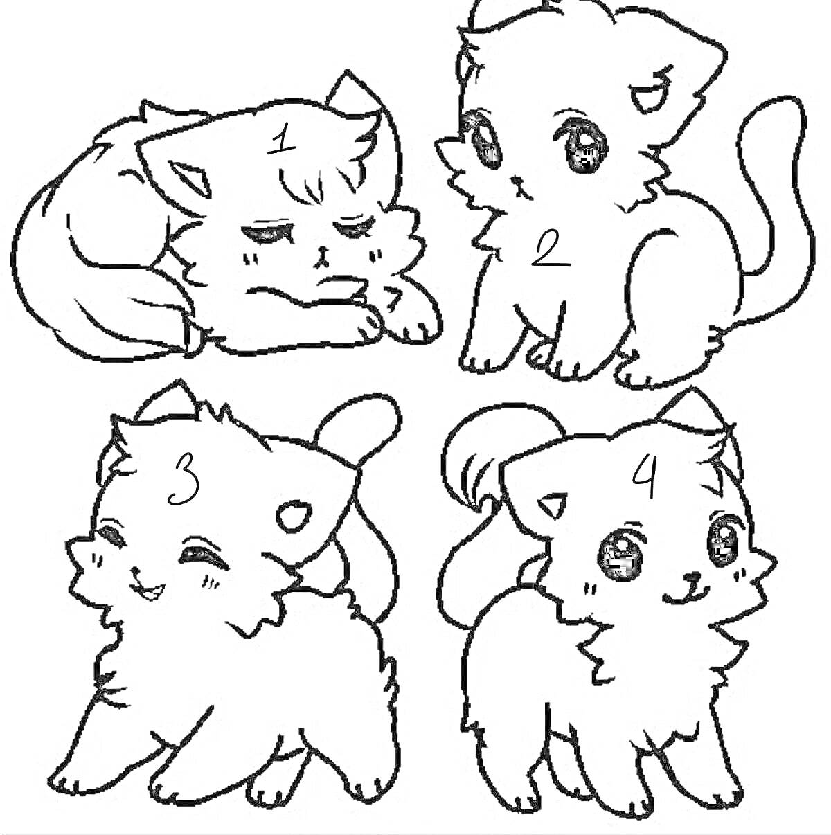 Раскраска Четыре маленьких котёнка в разных позах