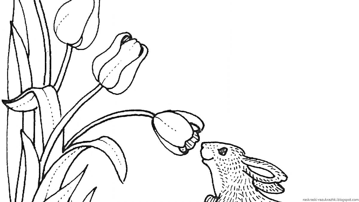 На раскраске изображено: Тюльпаны, Цветы, Кролик, Природа, Весна, Для детей