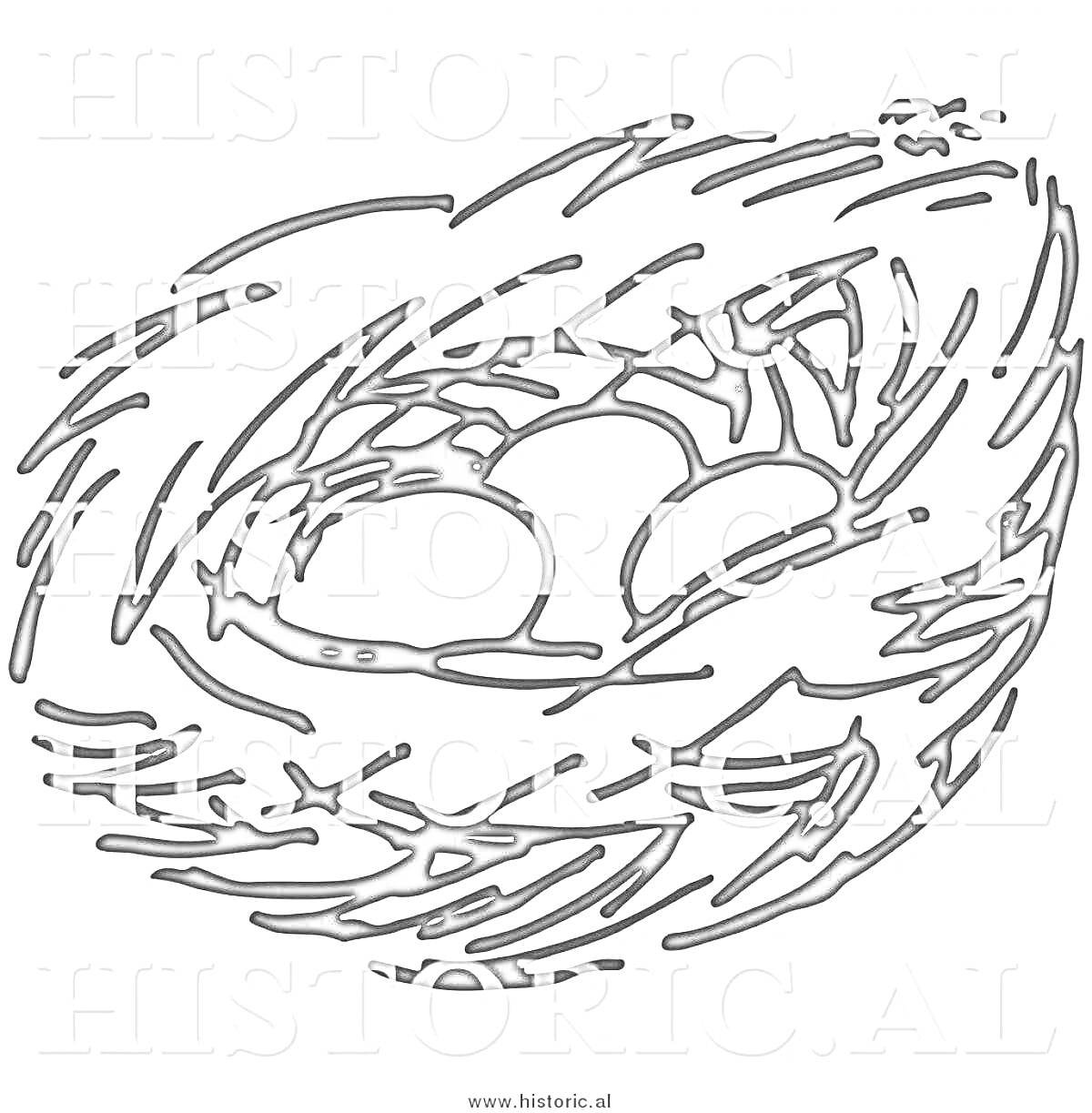 Раскраска Гнездо с тремя яйцами