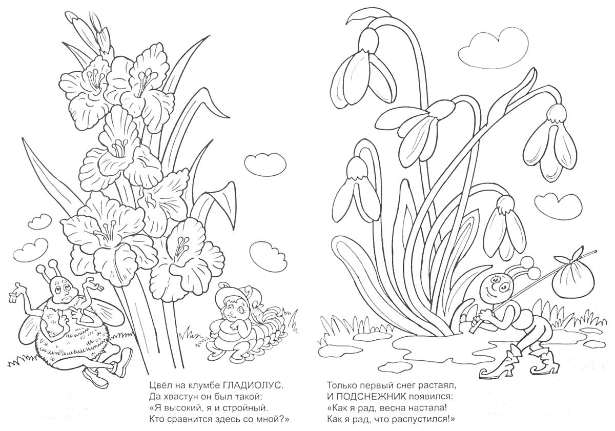 Раскраска гладиолус, два божьих коровки под гладиолусом, подснежники, шмель с мешком воды рядом с подснежниками, облака