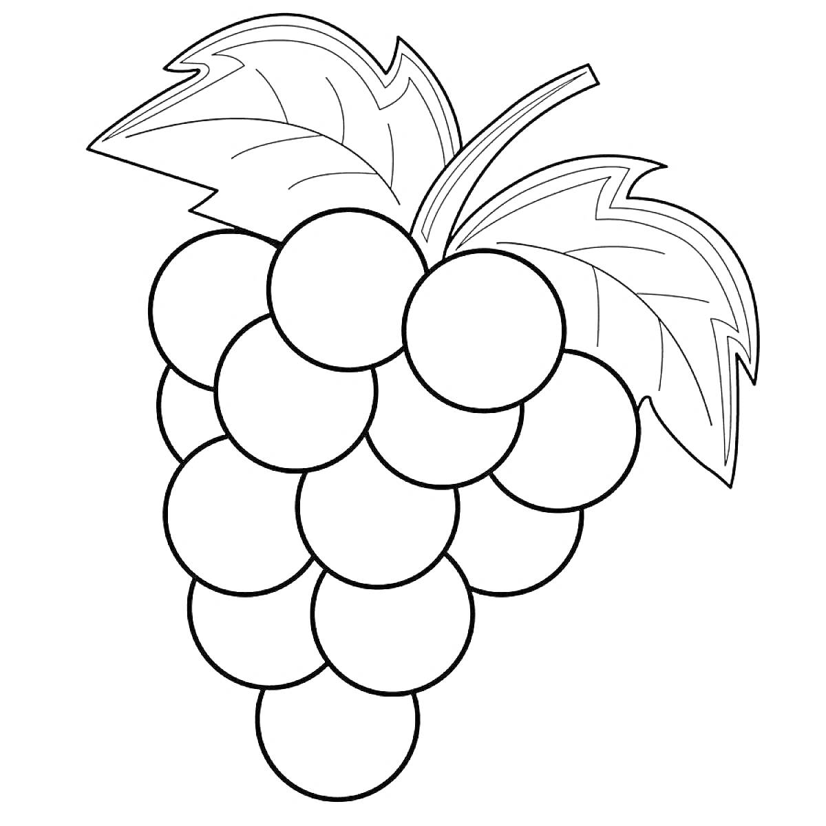 На раскраске изображено: Виноград, Гроздь, Листья, Ягоды