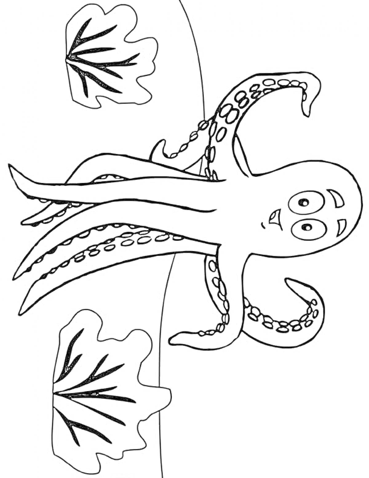 Раскраска Осьминог с подводными растениями