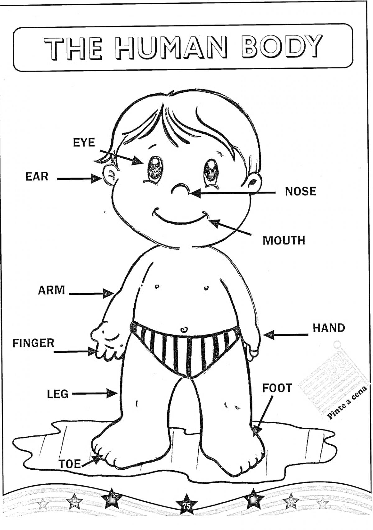 РаскраскаЧасти тела - Ухо, Глаз, Нос, Рот, Рука, Палец, Нога, Ступня, Палец ноги