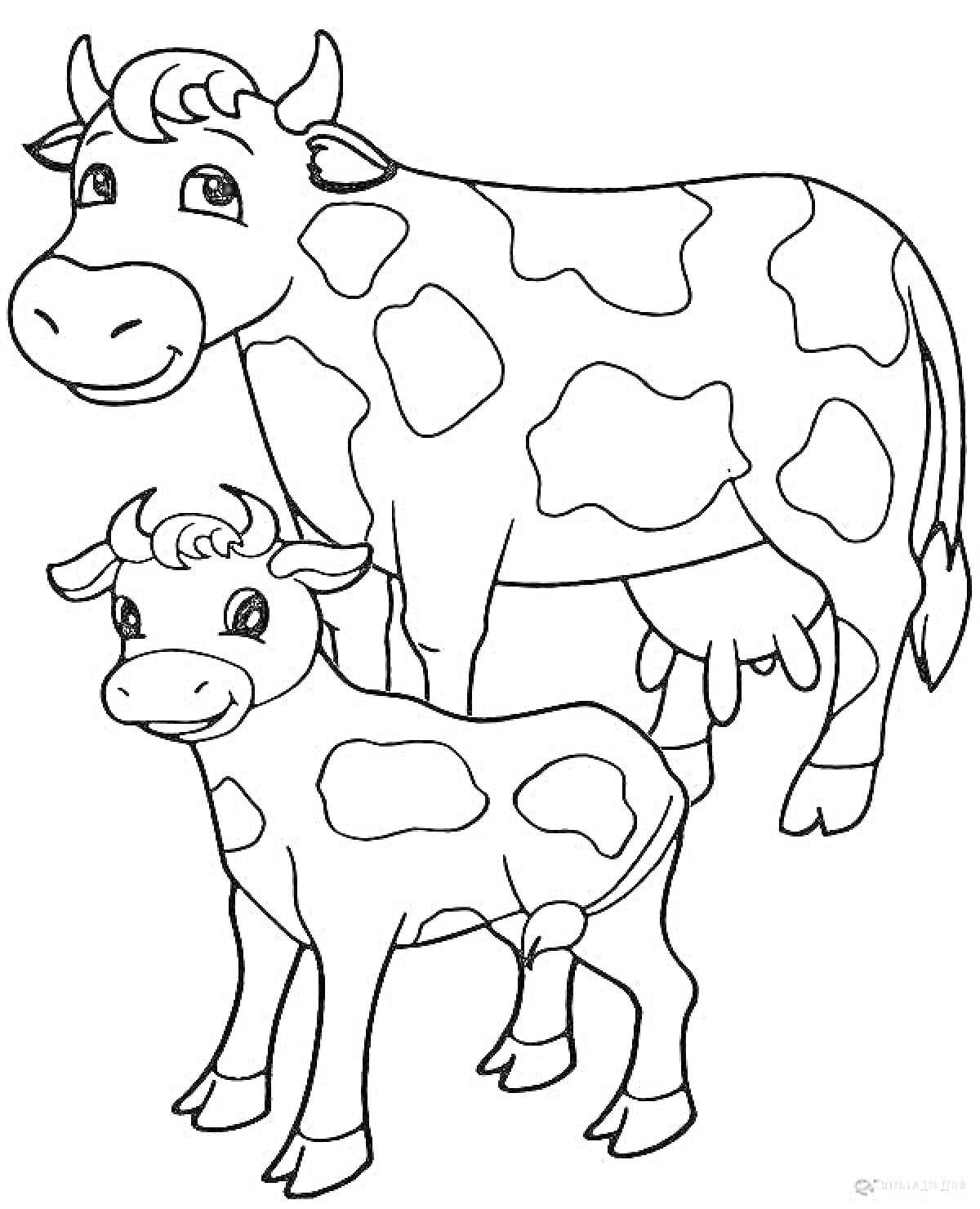 На раскраске изображено: Корова, Теленок, Ферма, Луг, Сельское хозяйство, Пятна, Для детей, Животные