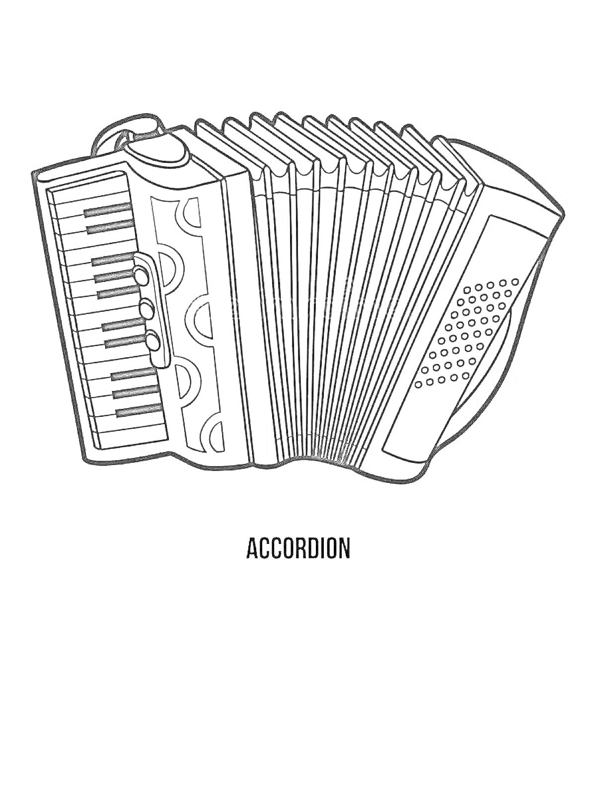 На раскраске изображено: Аккордеон, Клавиши, Музыка, Мехи, Гармония, Музыкальные инструменты