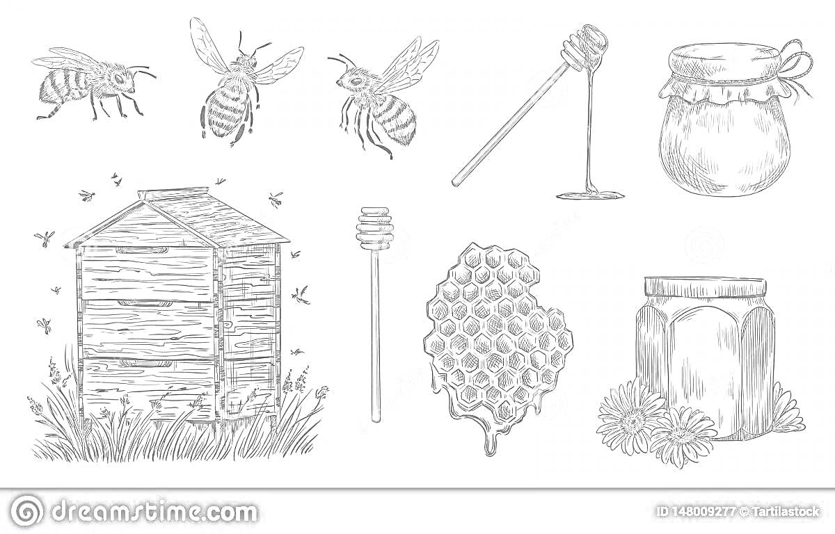 На раскраске изображено: Пчёлы, Улей, Мёд, Соты, Природа, Цветы, Насекомое