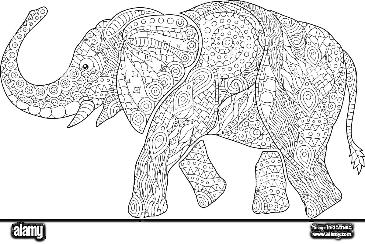 Раскраска Антистресс раскраска слоника с абстрактными узорами, включающими круги, линии, зигзаги и другие геометрические элементы на всем теле слона