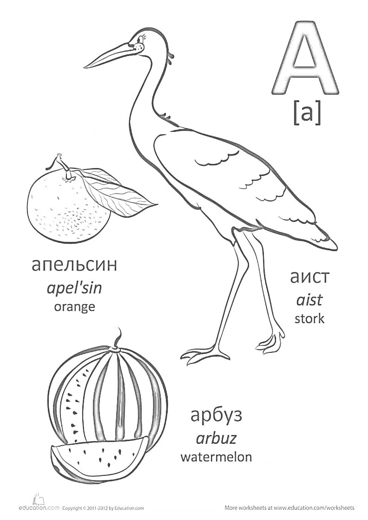 Раскраска Буква А, апельсин, аист, арбуз
