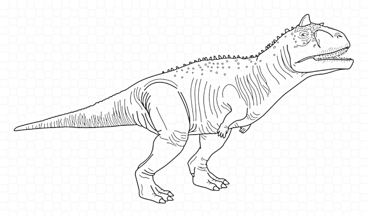 На раскраске изображено: Карнотавр, Динозавр, Профиль, Прозрачный фон, Линии