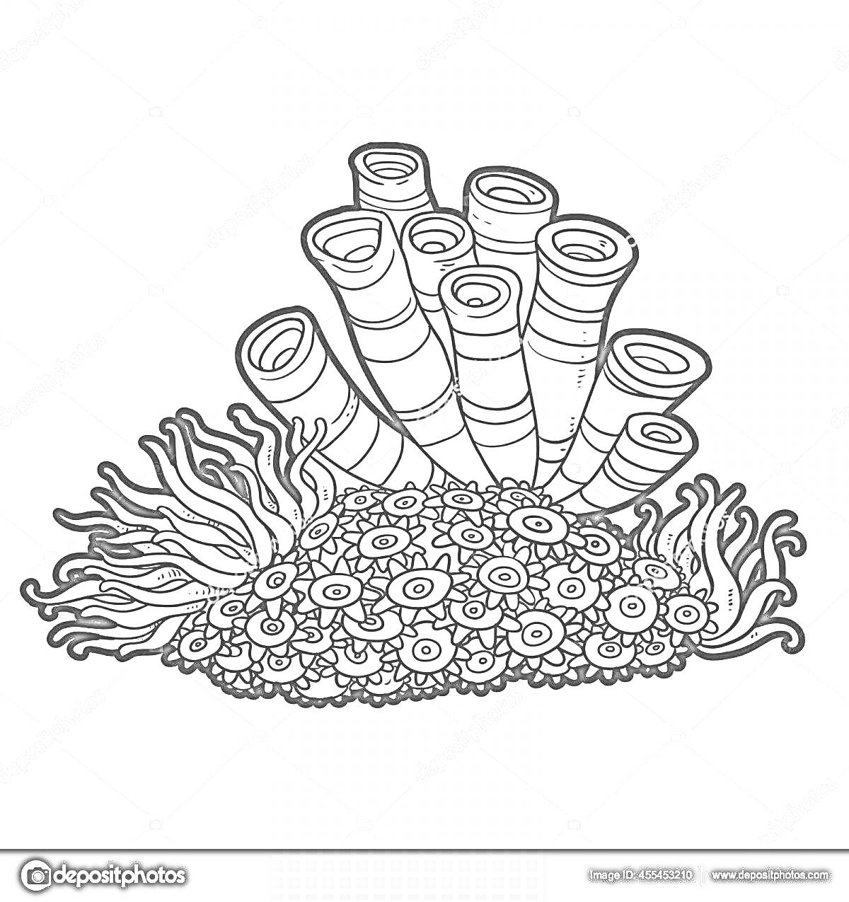 Раскраска Актиния с трубчатыми кораллами и цветочными формами на основании