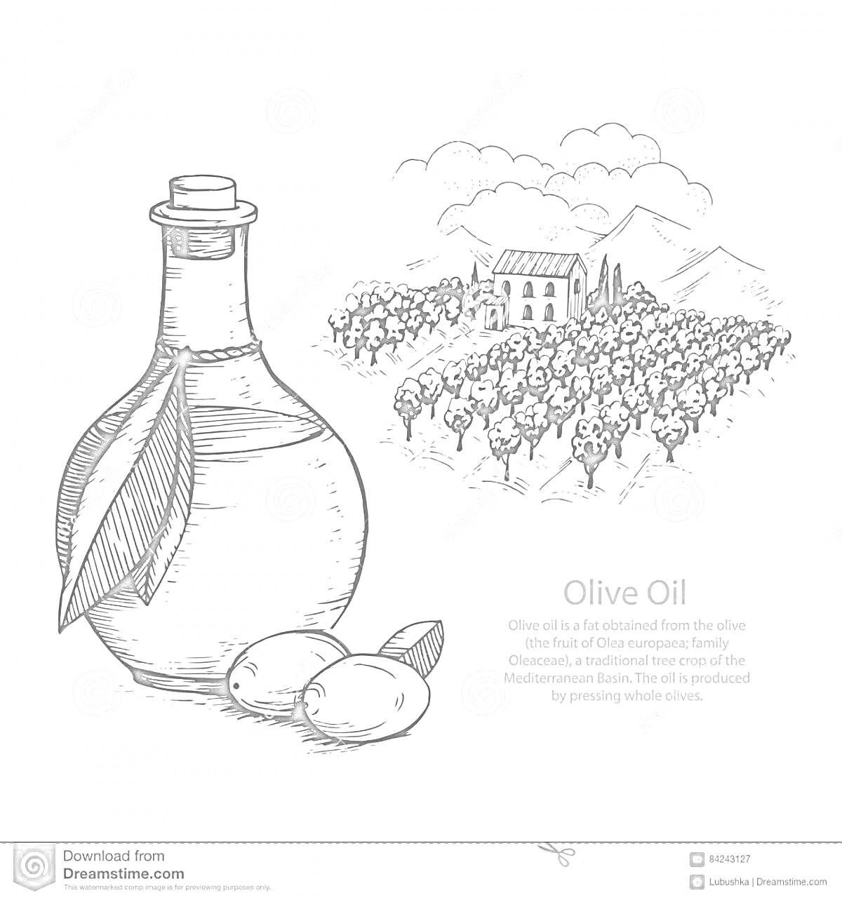 Раскраска Бутылка оливкового масла, оливки, домик, поле с деревьями, горы, облака