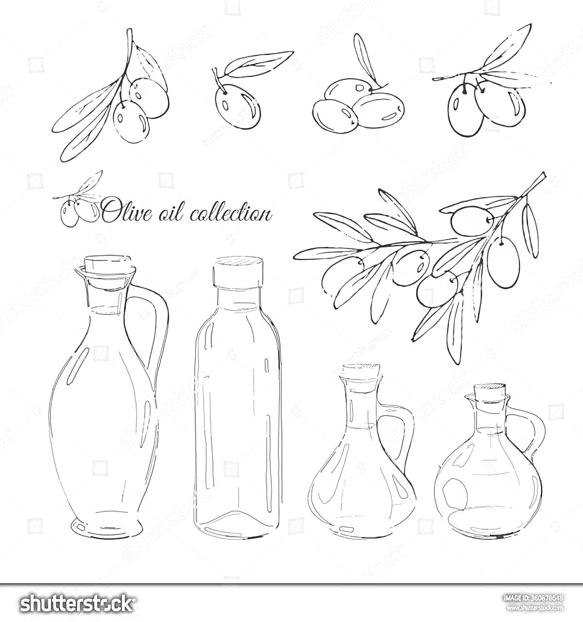 На раскраске изображено: Оливковое масло, Оливки, Графика, Еда, Кухня, Природа