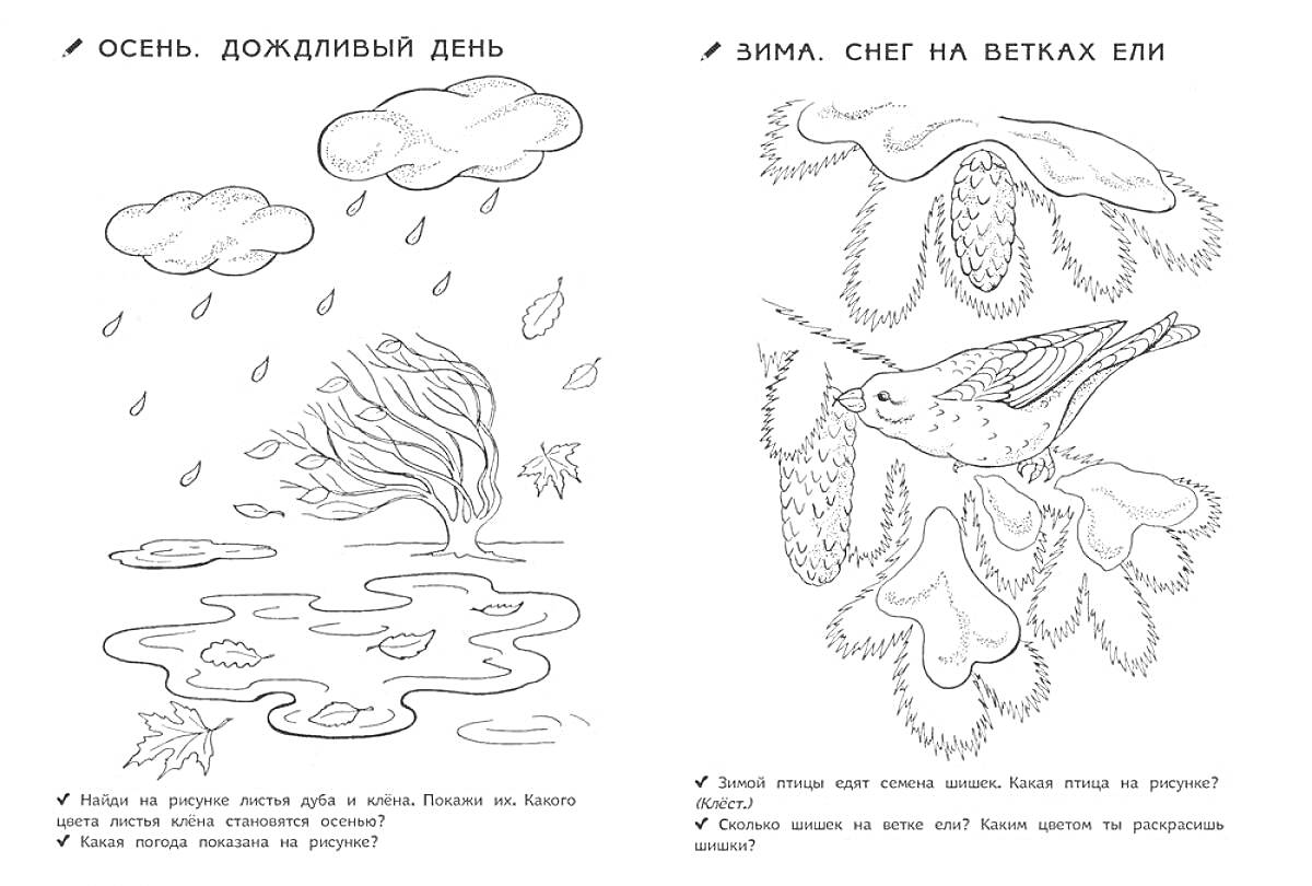 РаскраскаОсень, дождливый день; зима, снег на ветках ели (облако, дождь, дерево, лужи, листья; ёлка, снег, птица)