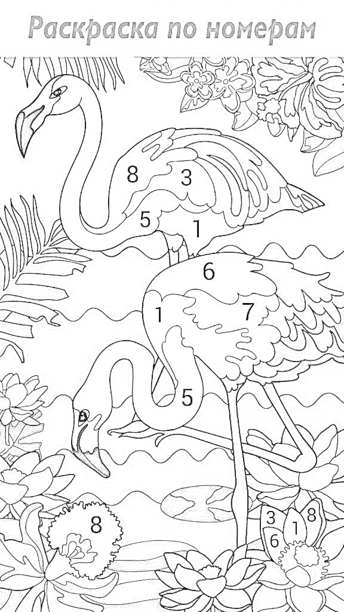 На раскраске изображено: Фламинго, Водоем, Лилии, Листья, Цветы, Природа, Птица