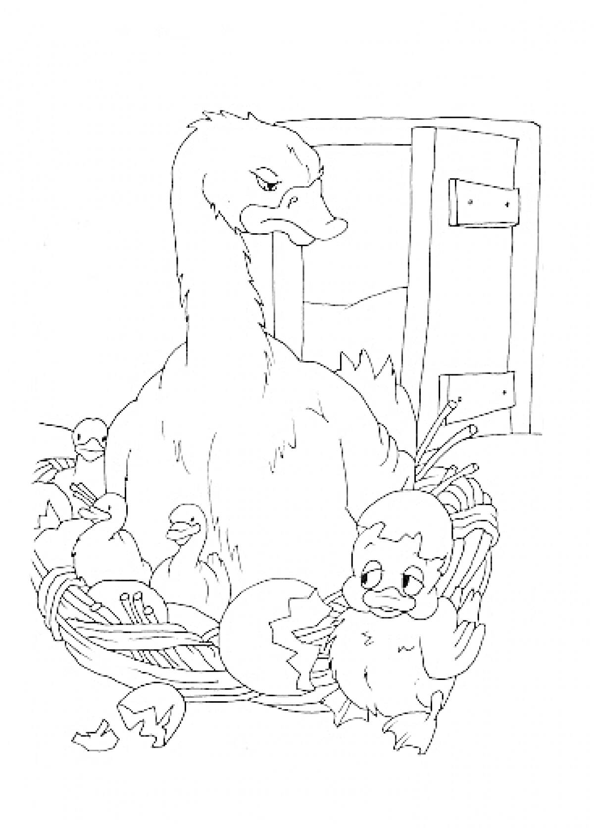 Раскраска Гадкий утенок в гнезде с мамой и другими утятами возле дома