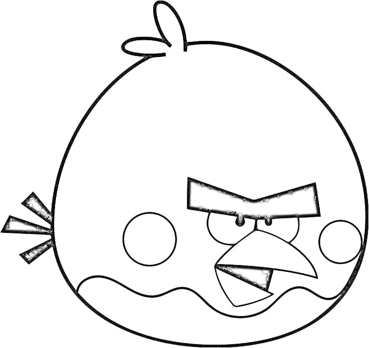 Раскраска Лицо красной птицы из Angry Birds с сердитыми бровями и хвостиком