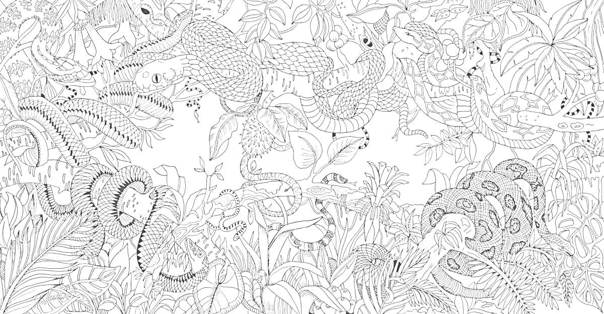 На раскраске изображено: Джунгли, Животные, Растения, Природа, Птица, Листва, Крылья, Крокодил