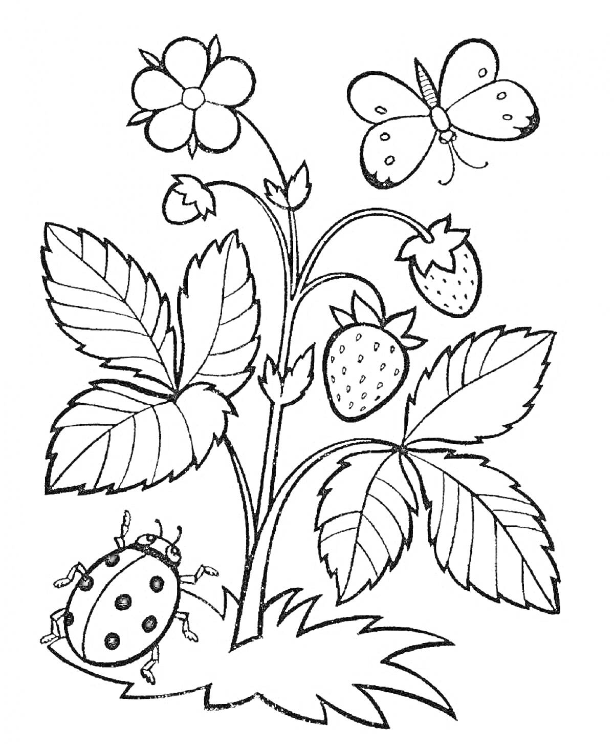 Раскраска Клубничное растение с цветком, бабочкой и божьей коровкой