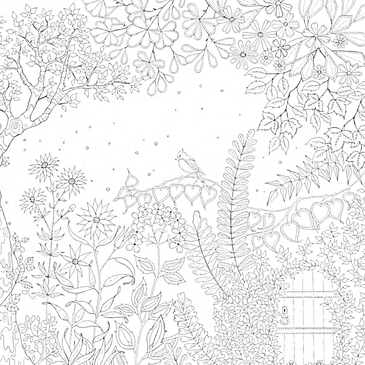 Раскраска Таинственный сад с пышной растительностью, деревьями, цветами, совой, деревенской дверью и высокими кустарниками