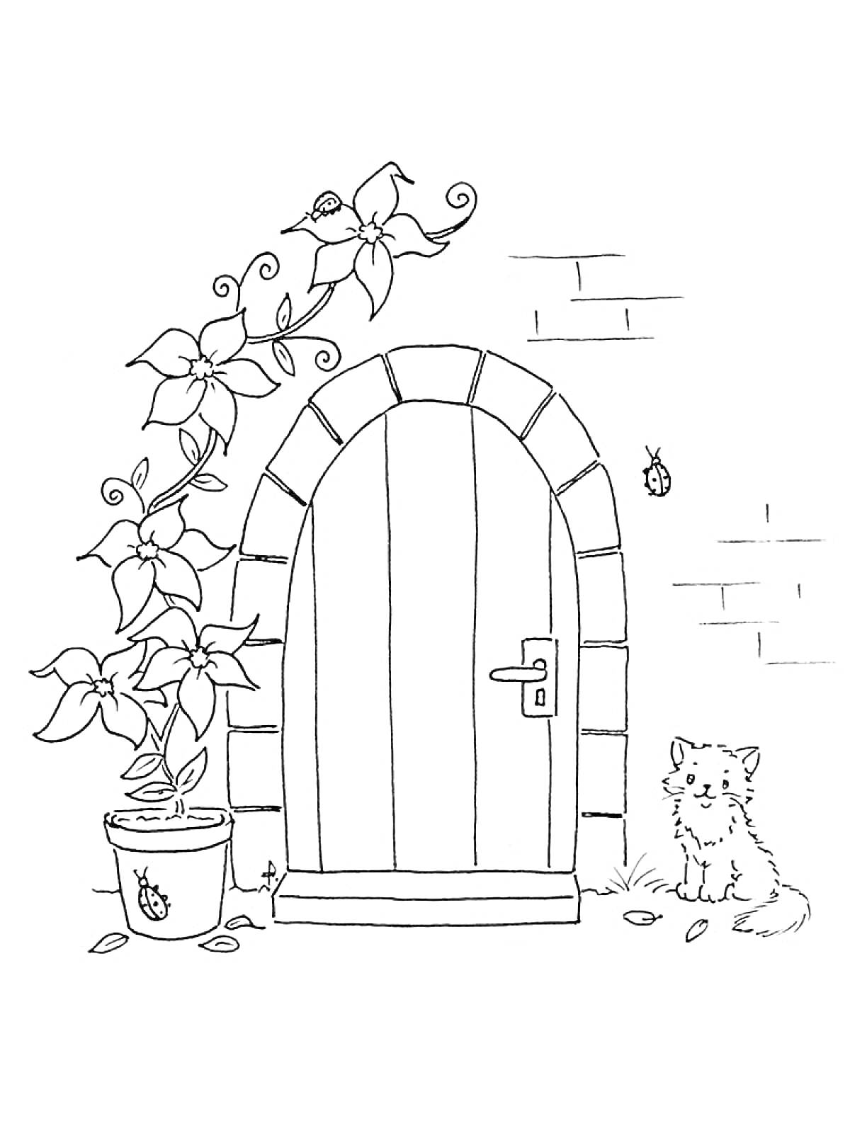 РаскраскаДверь с аркой, горшком с растением, бабочкой и собакой