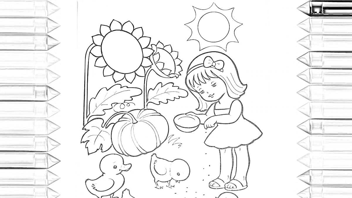 Раскраска Девочка кормит утят возле тыквы и подсолнухов на улице под солнцем