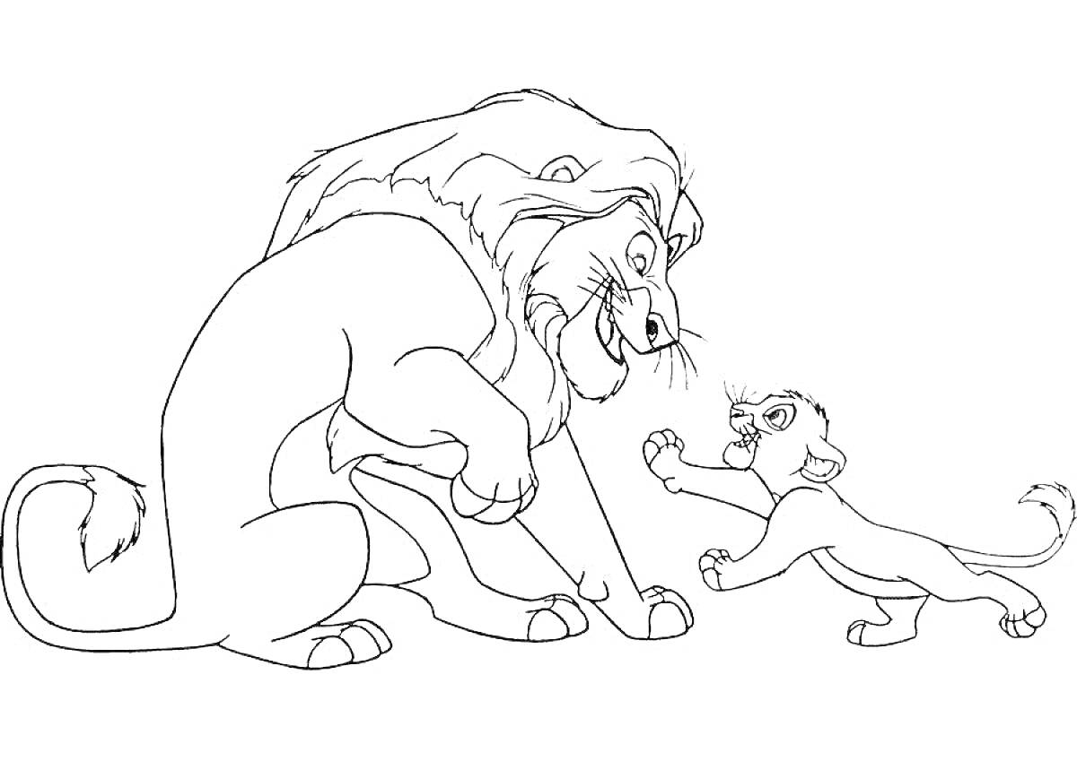 На раскраске изображено: Львы, Взрослый лев, Животные, Симба, Малыш, Король лев