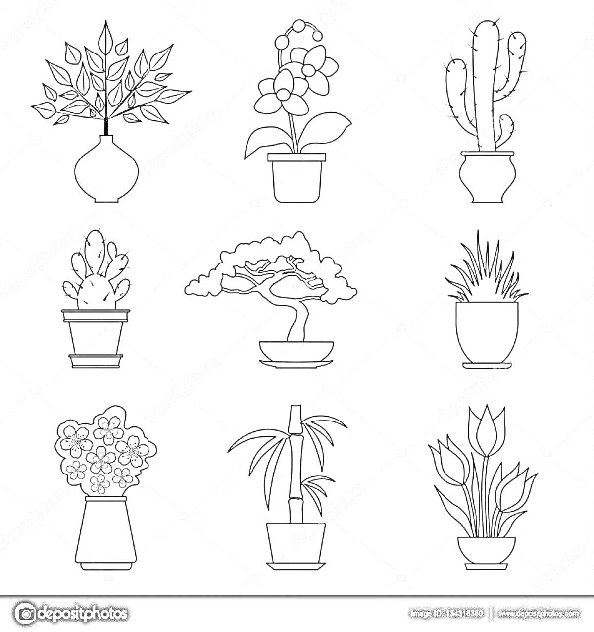 Раскраска Ваза с цветами, цветок в горшке, кактус в горшке, два кактуса в горшке, бонсай в горшке, трава в горшке, букет цветов в горшке, пальма в горшке, тюльпаны в горшке