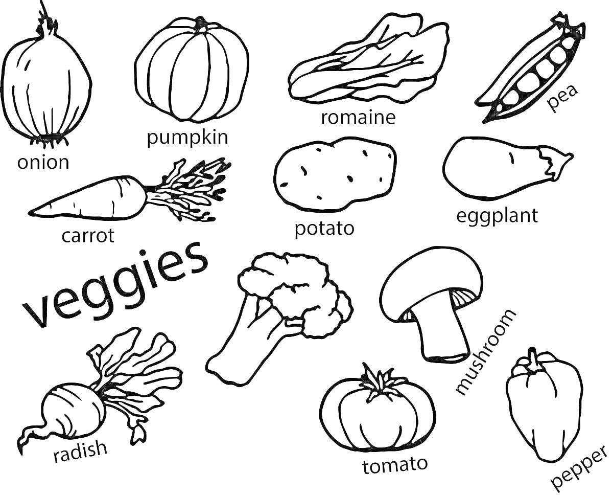 Раскраска Veggies - onion, pumpkin, romaine, pea, carrot, potato, eggplant, radish, broccoli, mushroom, tomato, pepper