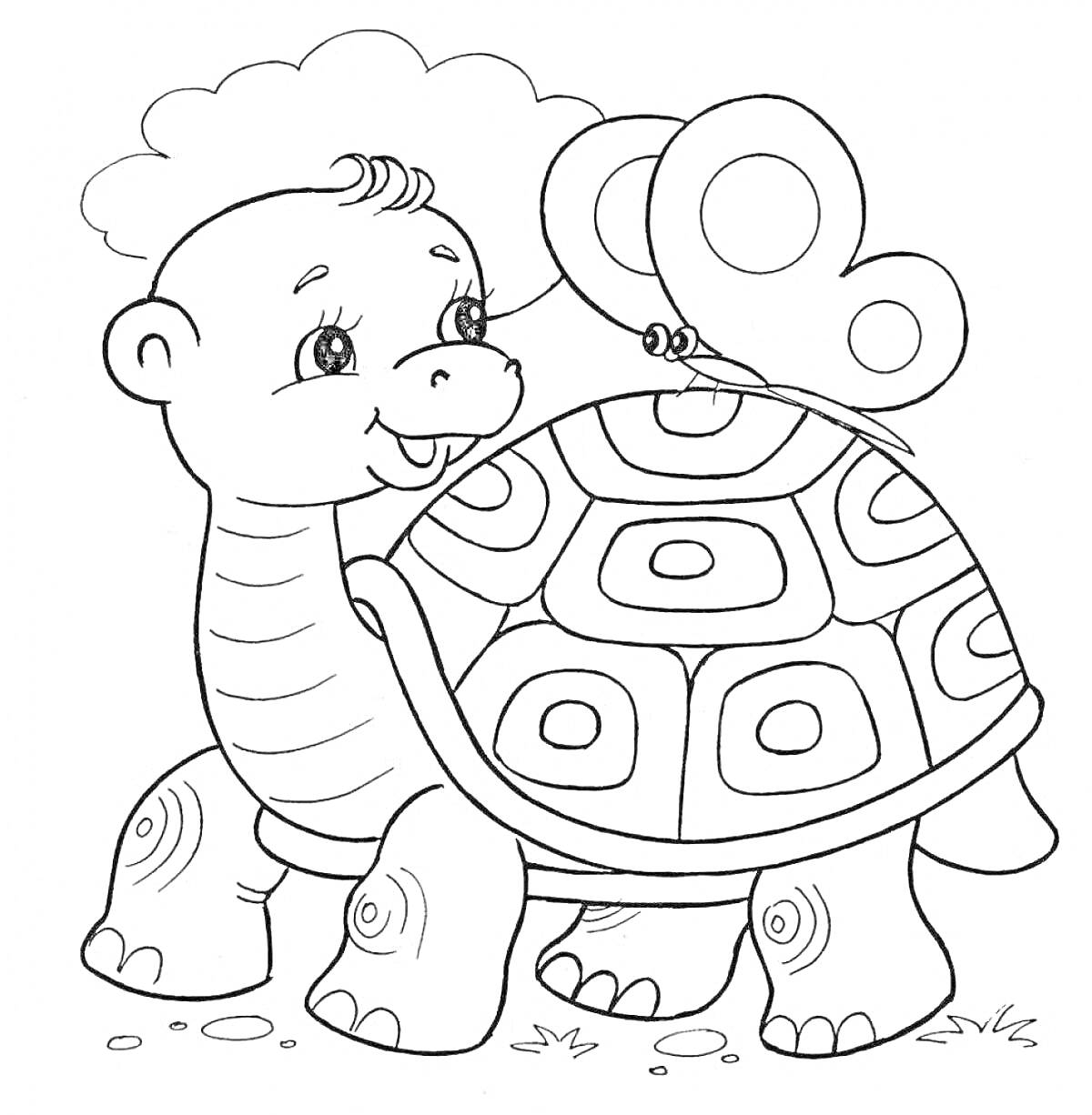 Раскраска Черепашка с бабочкой на панцире