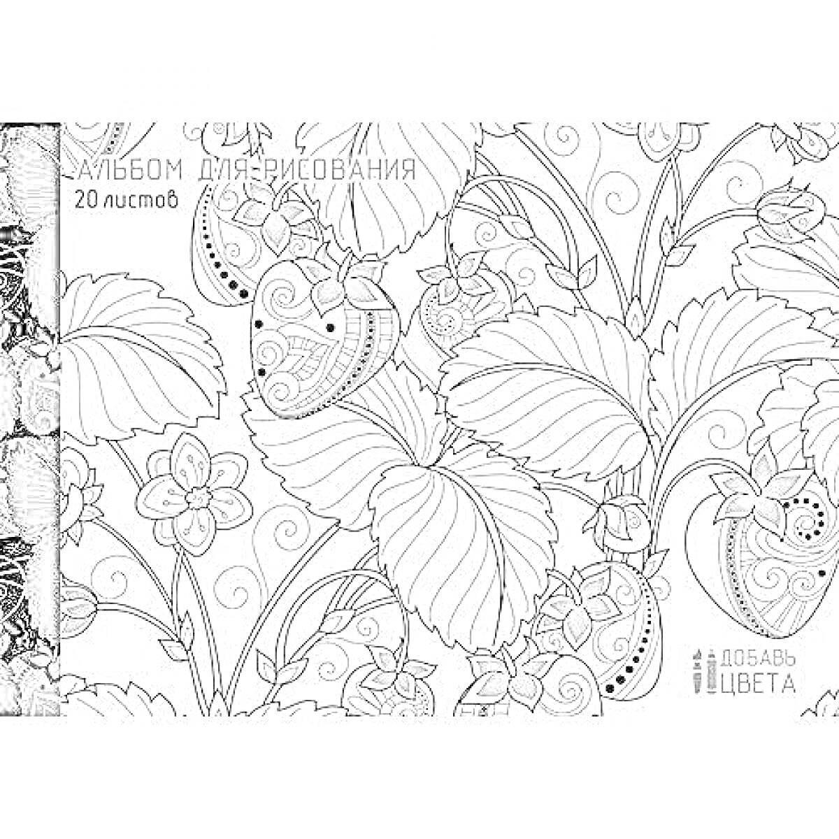 Раскраска Альбом для рисования с цветочным орнаментом, листьями и ягодами, 20 листов