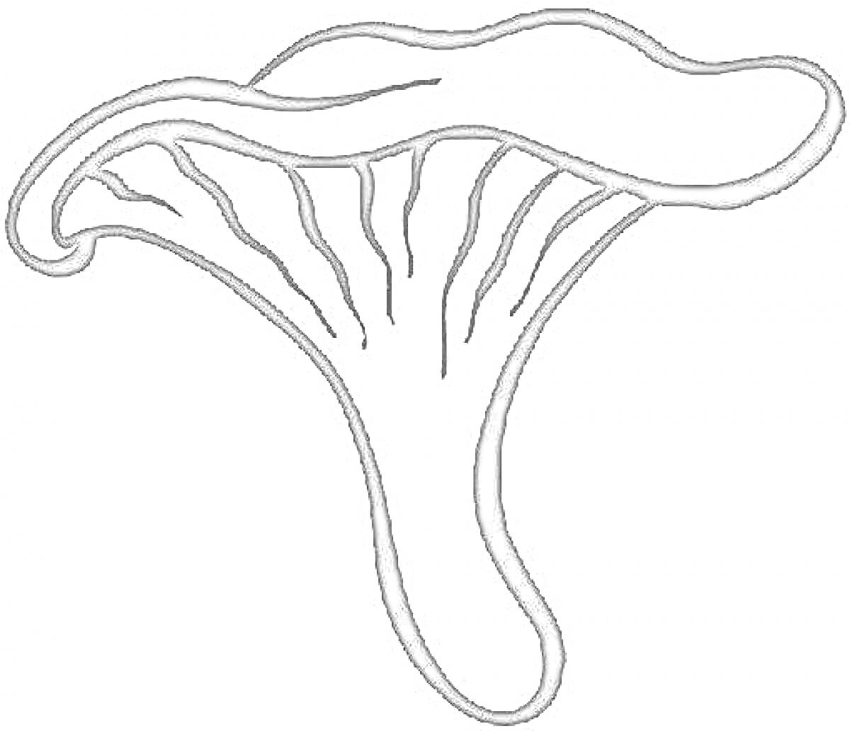 Раскраска Рисунок гриба с волнисто-распростертыми краями шляпки