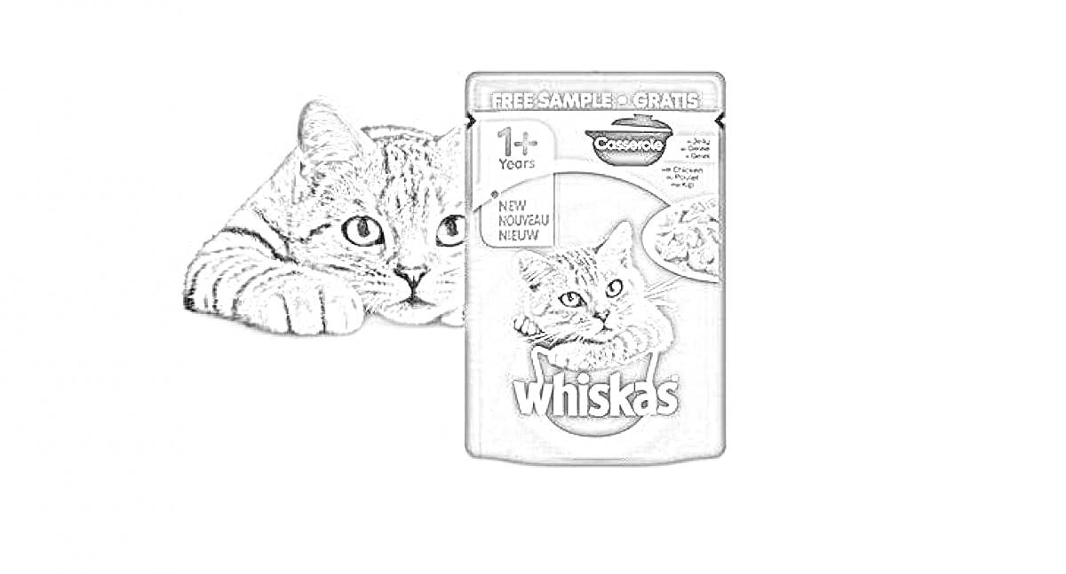 Раскраска кошка лежит рядом с пачкой корма Whiskas