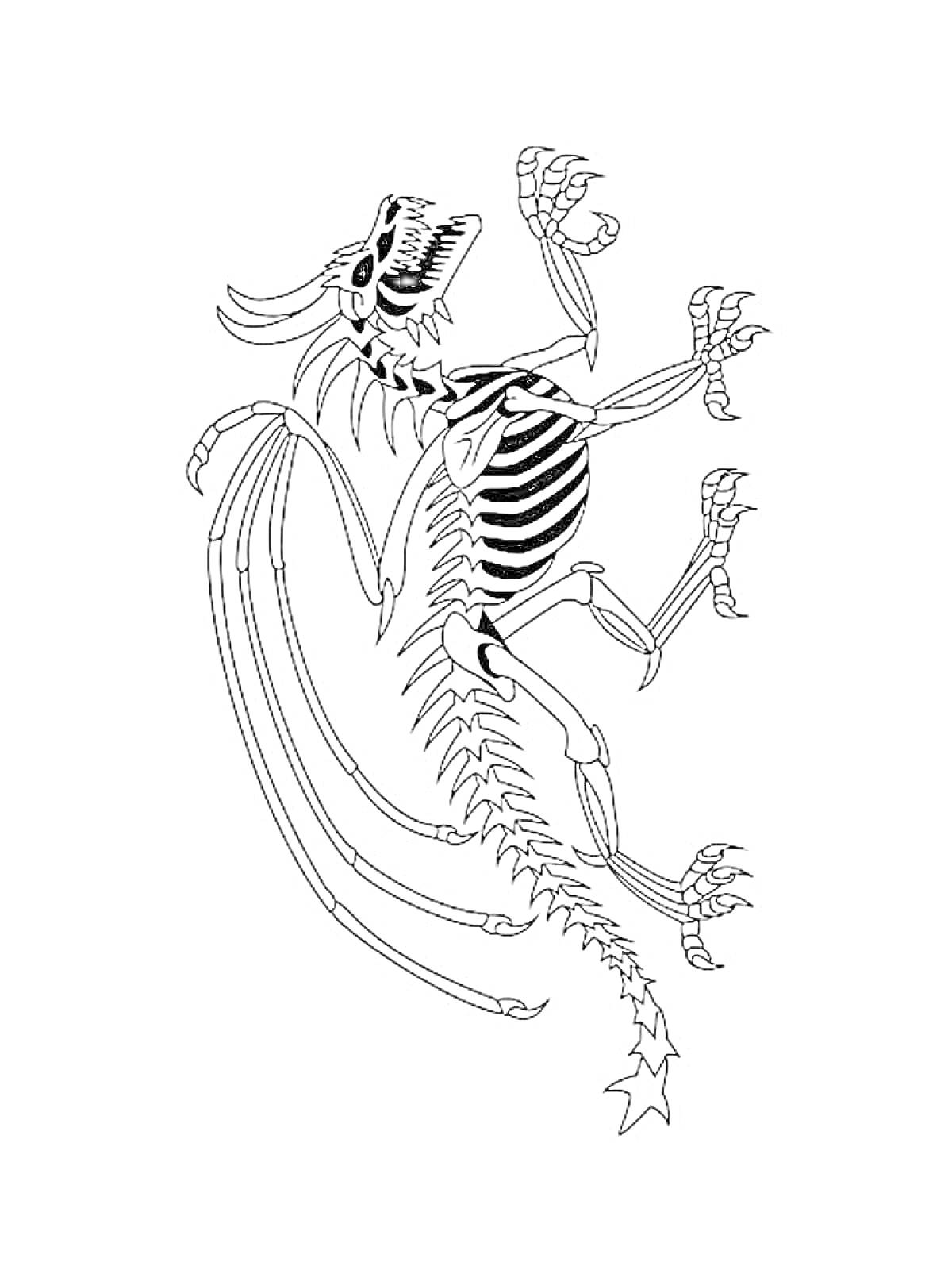 На раскраске изображено: Скелет, Дракон, Рога, Крылья, Хвост, Кости, Ребра