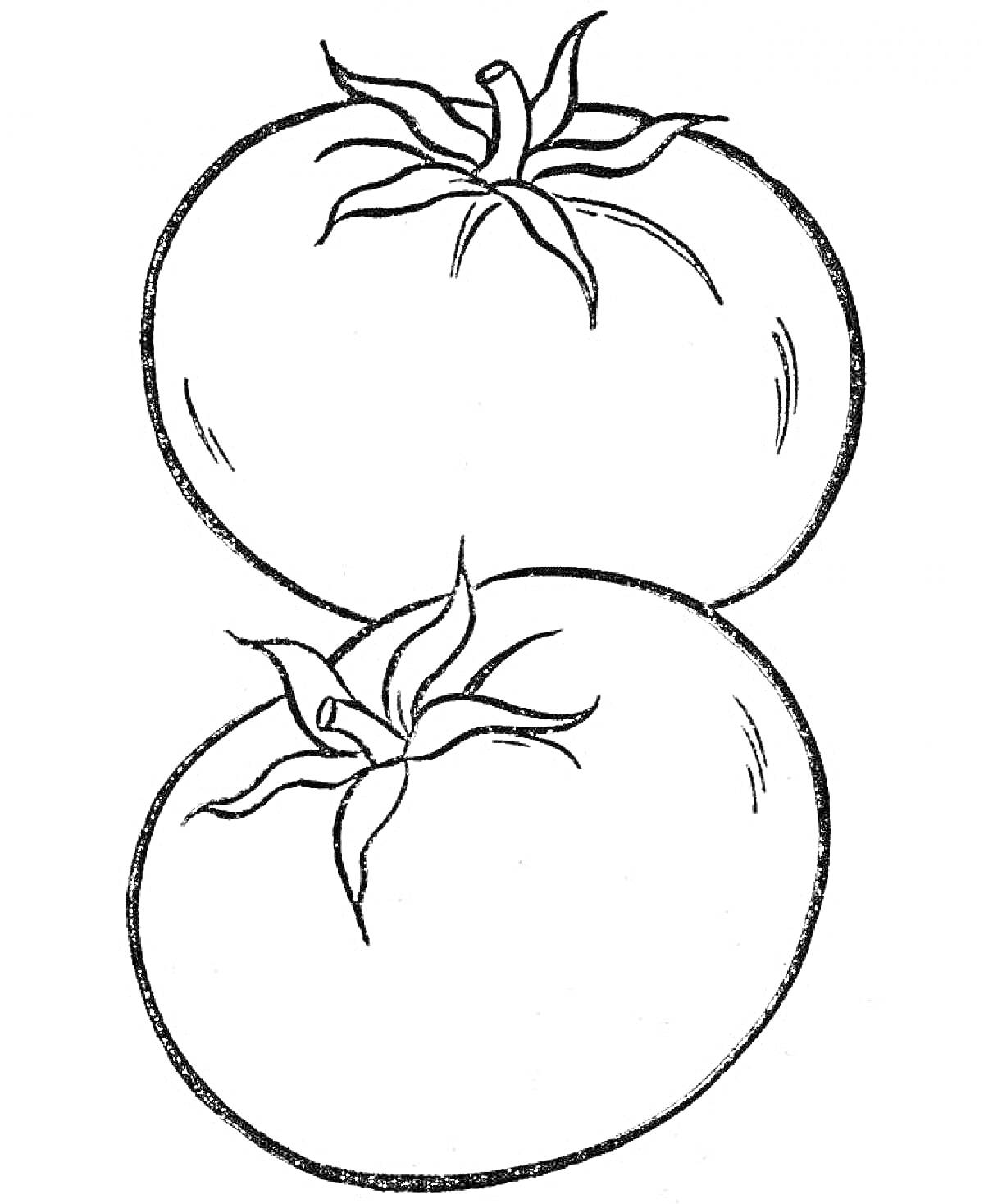 Раскраска Два помидора.