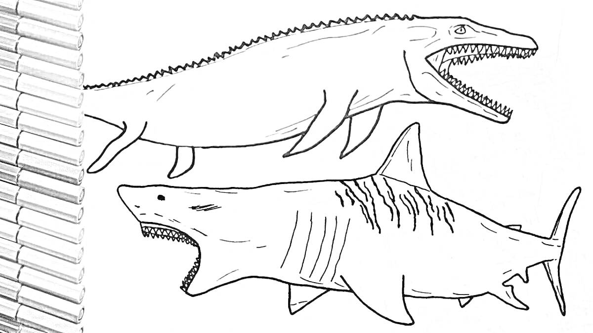 Раскраска Две акулы мегалодон и карандаши