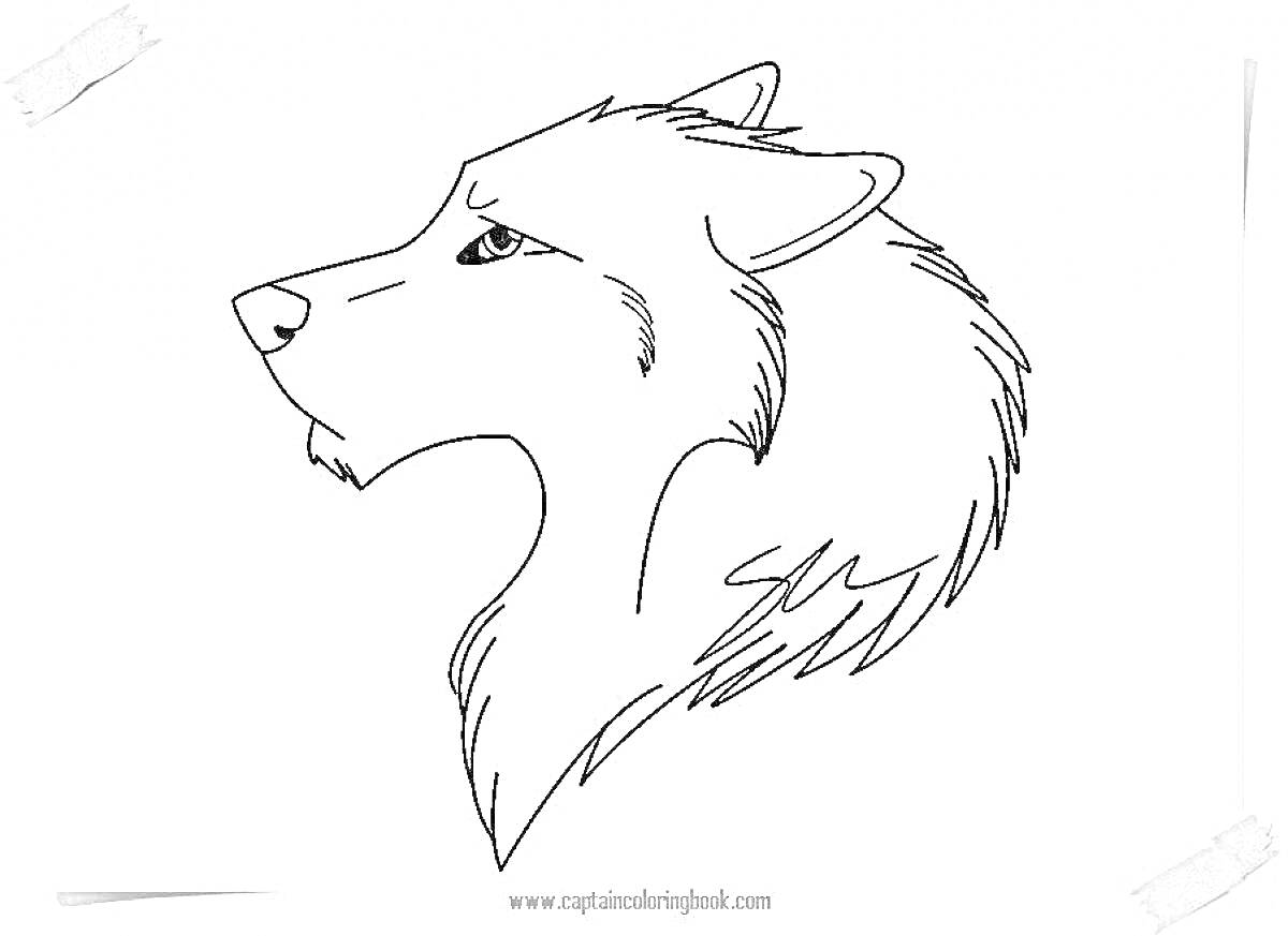 Раскраска Очертание головы волка в профиль, с детальной прорисовкой шерсти и ушами, направленными вверх.