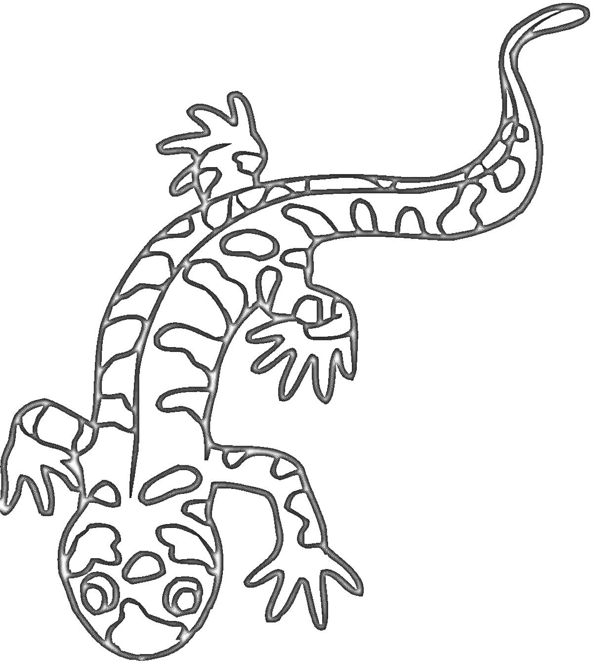 Раскраска Ящерица с узорами на спине и лапах