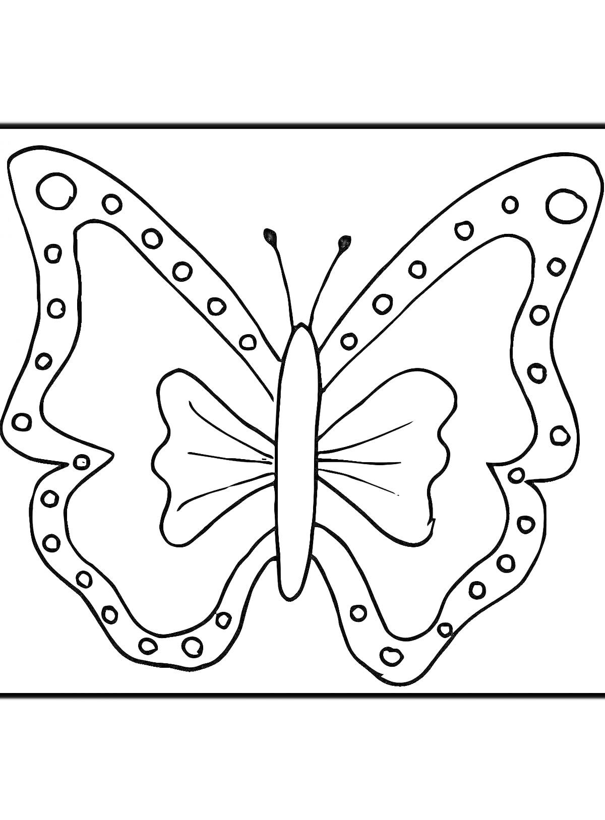 Раскраска Контурное изображение бабочки с узором из точек на крыльях