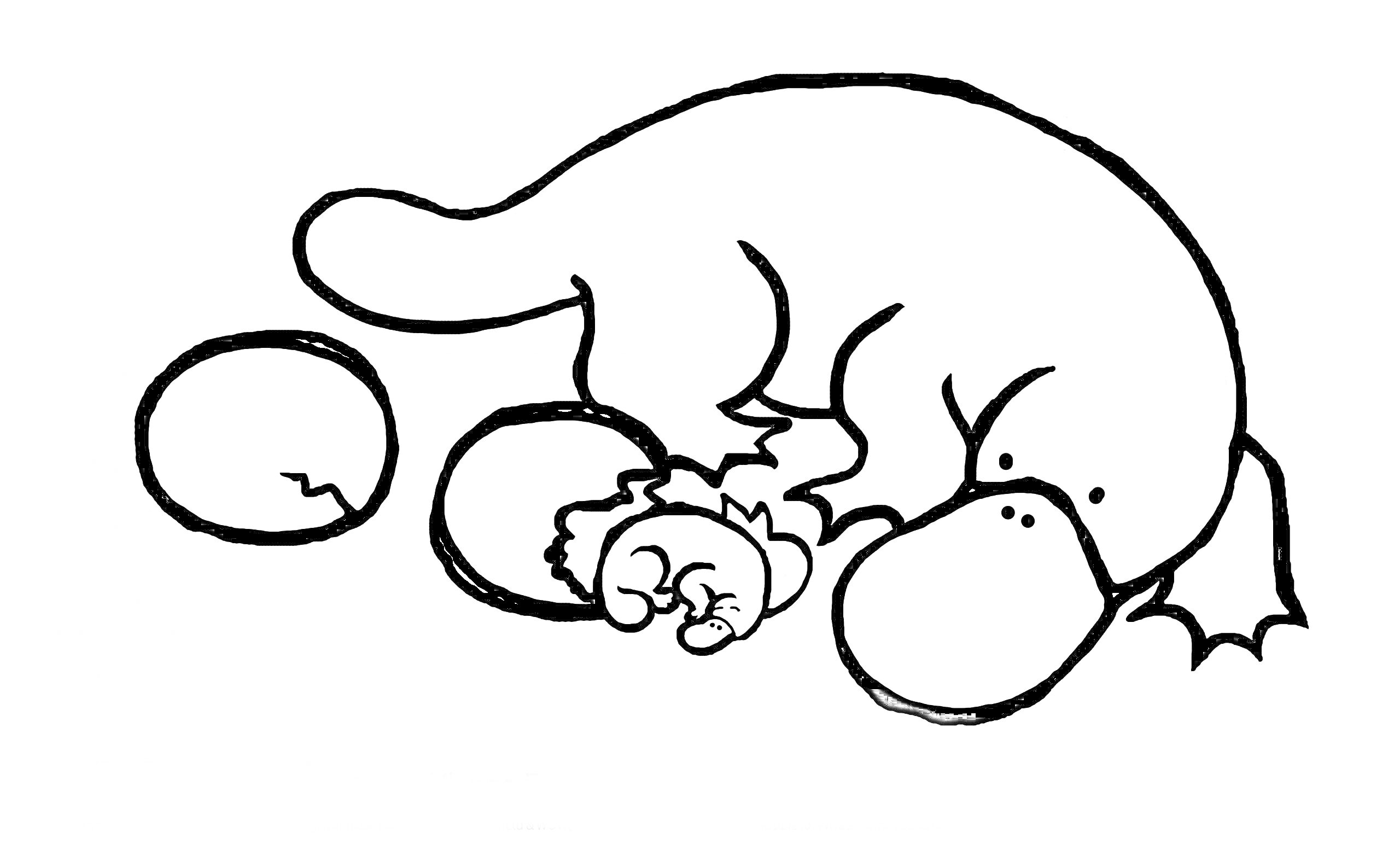Раскраска Утконос с детенышем и яйцами