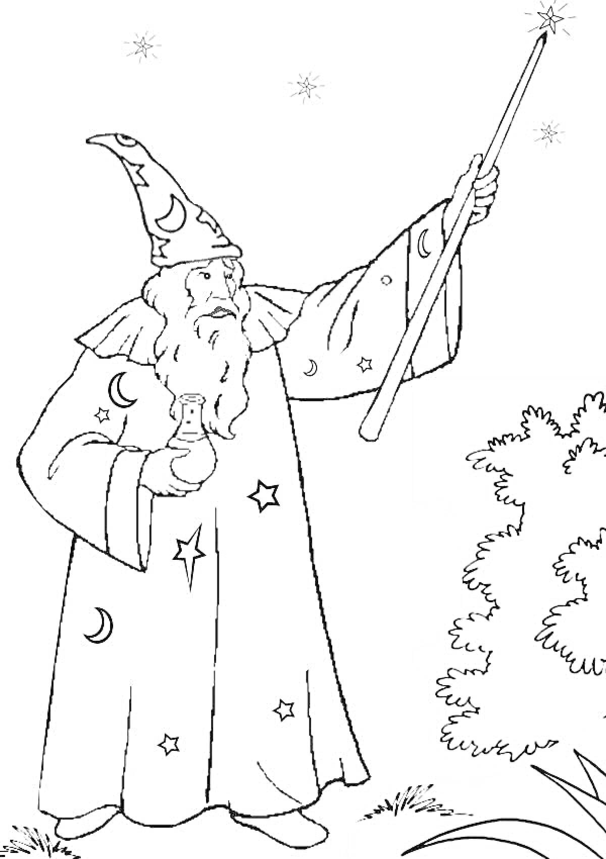Раскраска Волшебник с магической палочкой и пузырьком, стоящий рядом с кустом под звездами