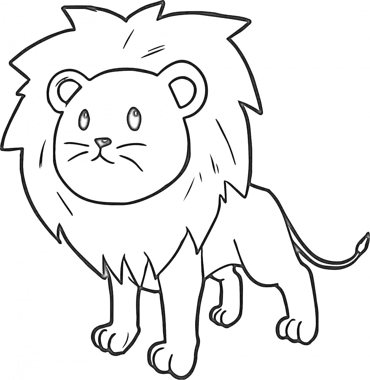 Раскраска Лев с большой гривой, стоящий на четырех лапах